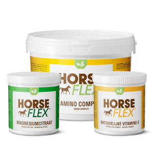 HorseFlex Amino Combi Deal