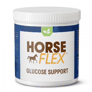 Glucose Support voor paarden