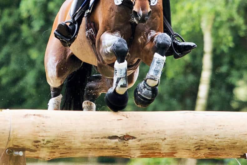 Spieren & pezen
