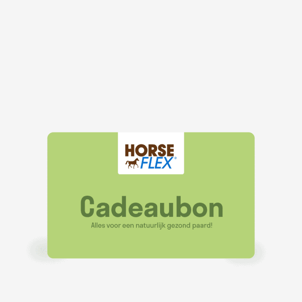 cadeaubon paard