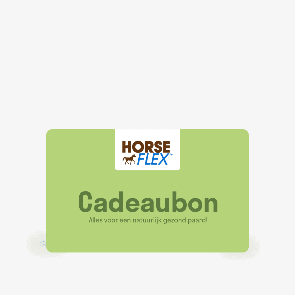 cadeaubon paard