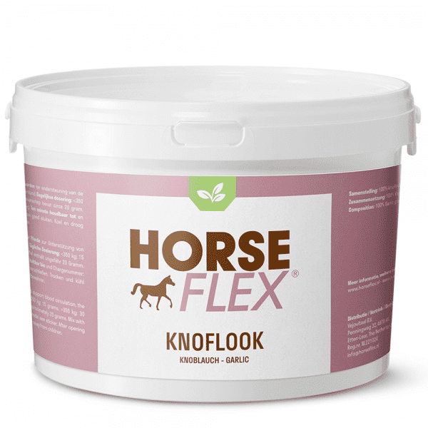 Knoflook voor paarden