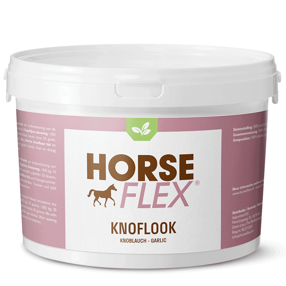 Knoflook voor paarden