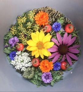 Paarden Poké Bowl
