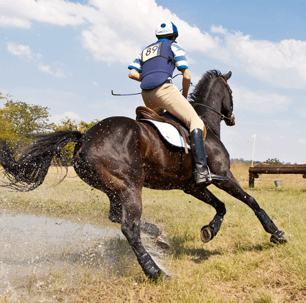 Sport & Conditie
