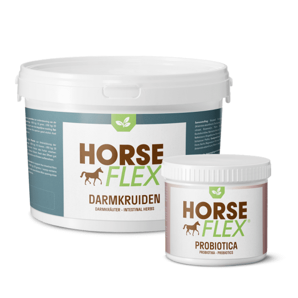 Probiotica & Darm pakket voor paarden