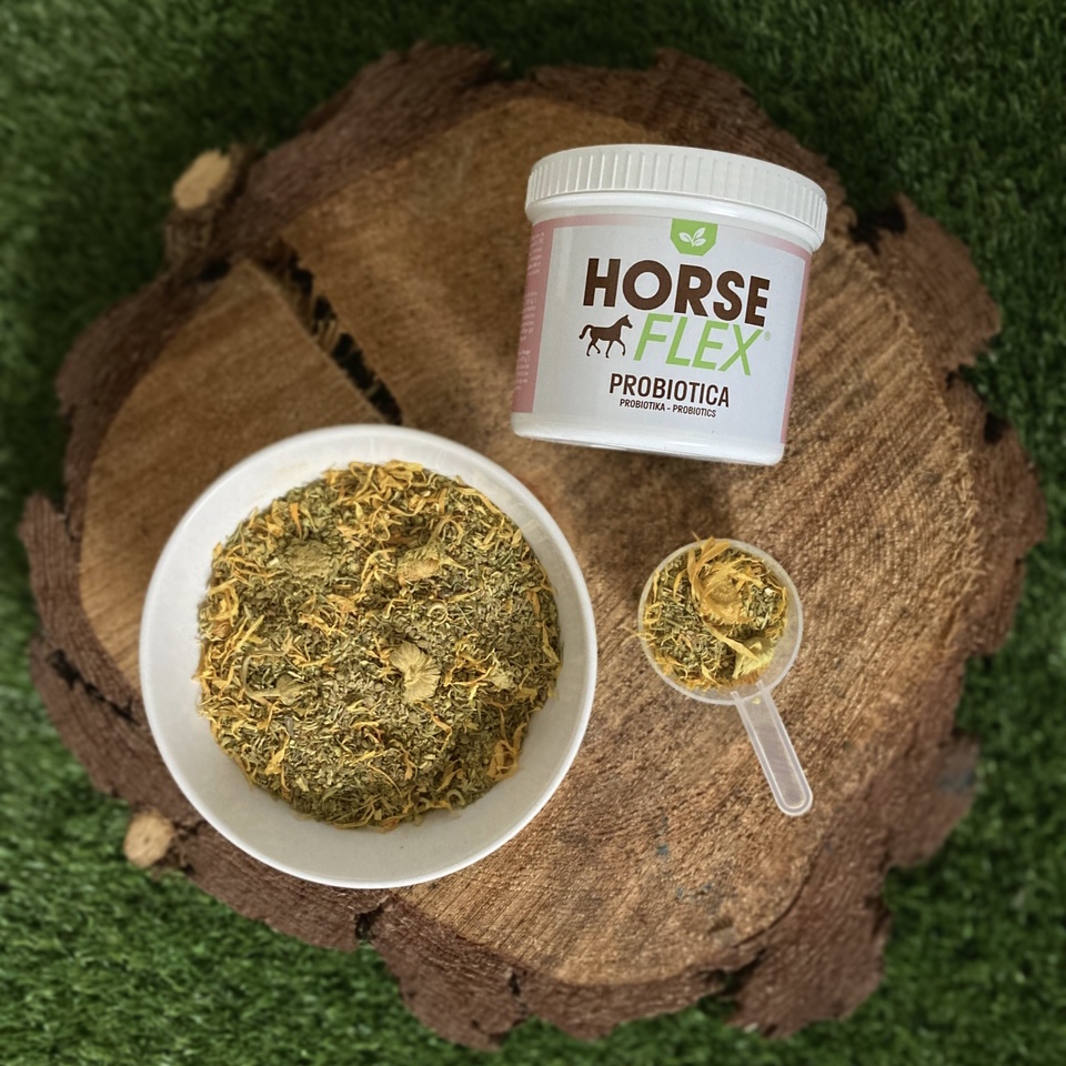 Probiotica voor Paarden - Ondersteunt de darmgezondheid
