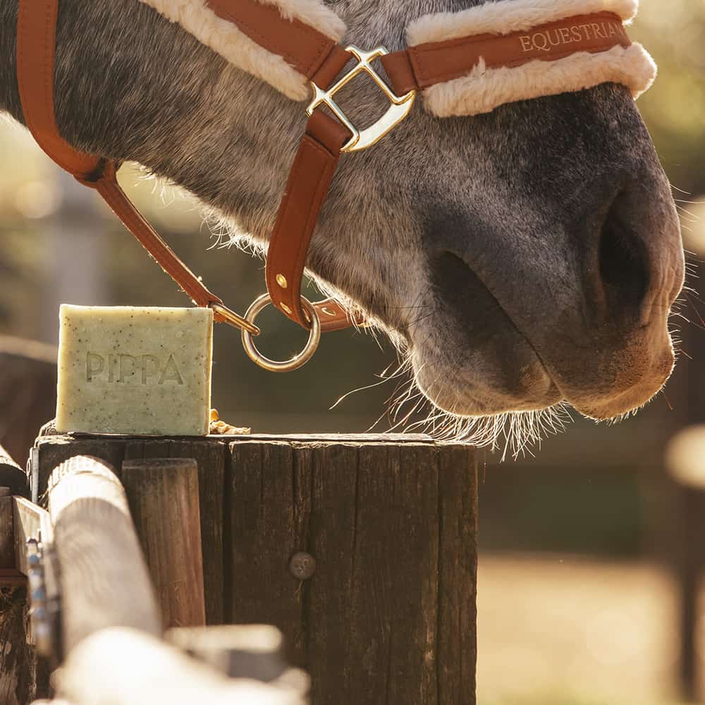 PIPPA paardenshampoo