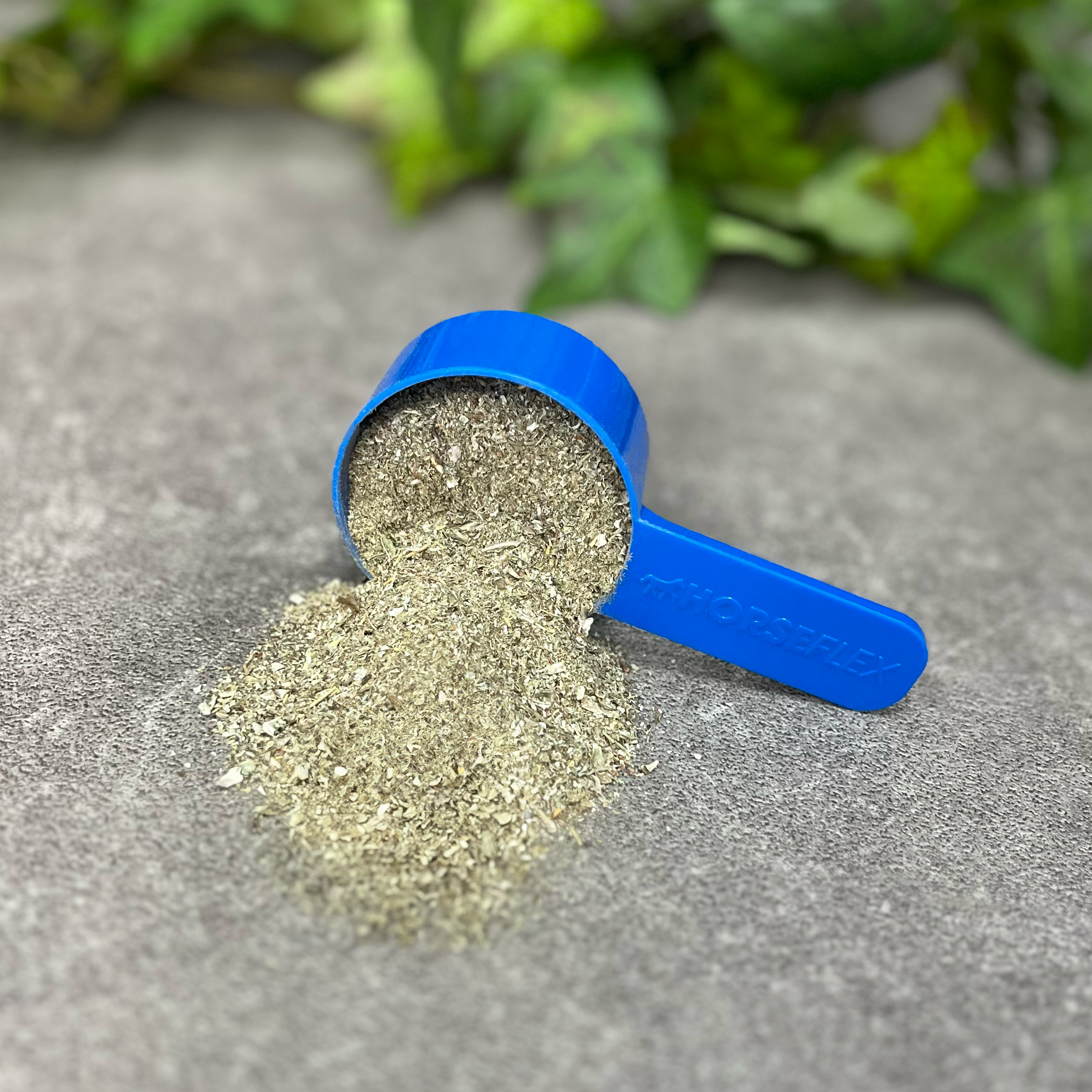 Curalyn Keelpastilles IJslands mos Per Doos 36 st
